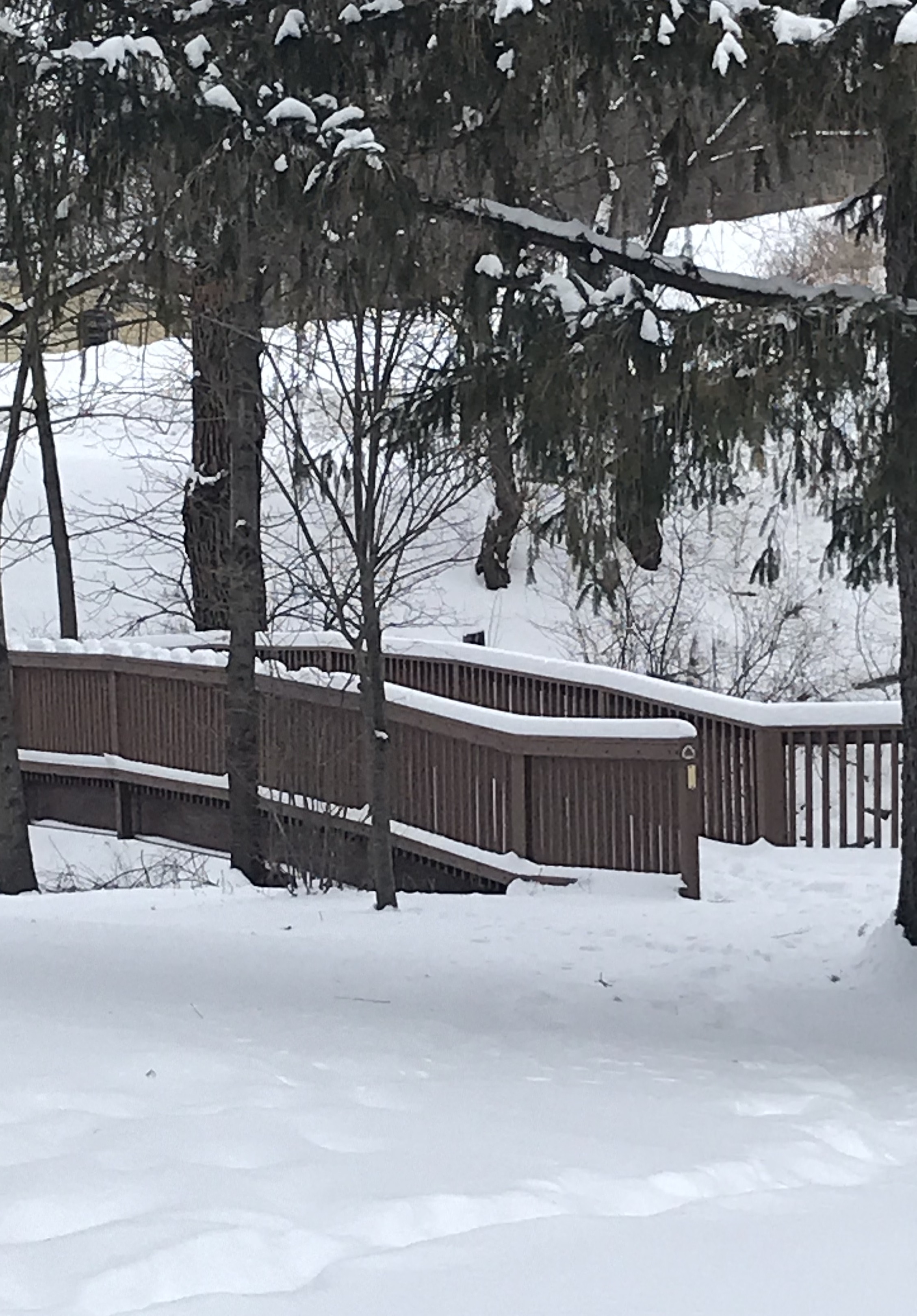 Parkside Apartments Apartments in Lodi, WI